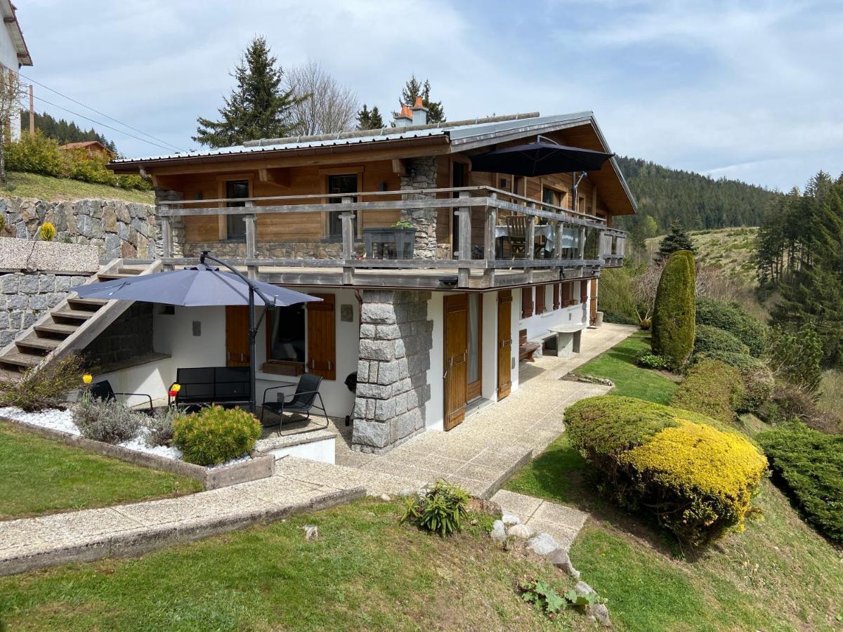 Appartement De Montagne Au Chalet De Snow Xonrupt-Longemer Exterior foto
